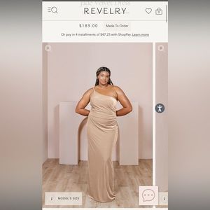 Champagne Revelry Jade Velvet dress